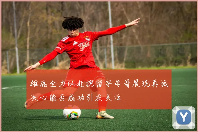 雄鹿全力以赴挽留字母哥展现真诚决心能否成功引发关注